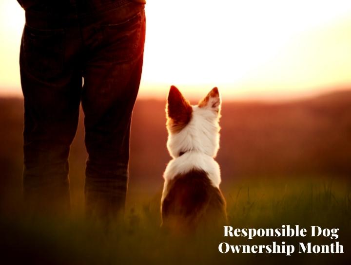 responsible-dog-ownership-month-somerset-animal-hospital